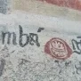 --Macello Chiesa di Santa Maria Assunta Foto 44