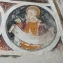 --Mondovì Cappella della Santa Croce Foto 52