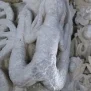 --Montiglio Monferrato Capitelli della Chiesa di San Lorenzo Foto 18