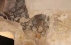 --Rocca Canavese Chiesa di Santa Croce Foto 31
