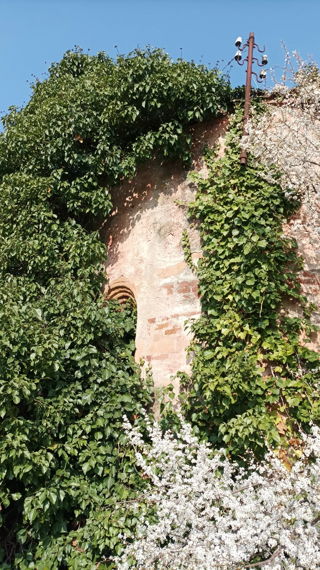 Occimiano - San Vitale