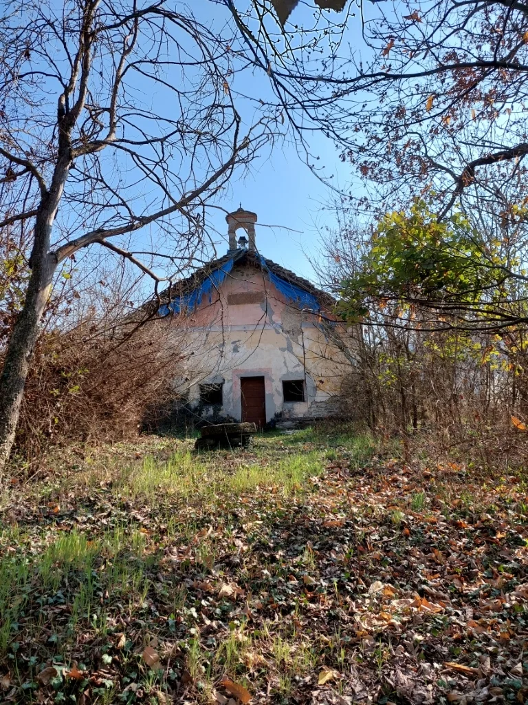 Olmo Gentile - San Martino