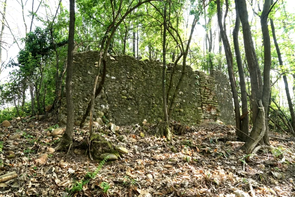 Borgomanero - San Pietro al Colle