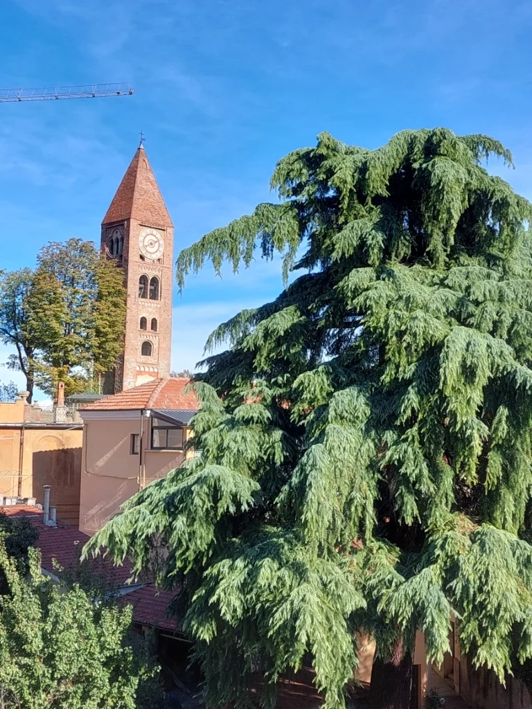 Rivoli - Antica Collegiata Stella Maris