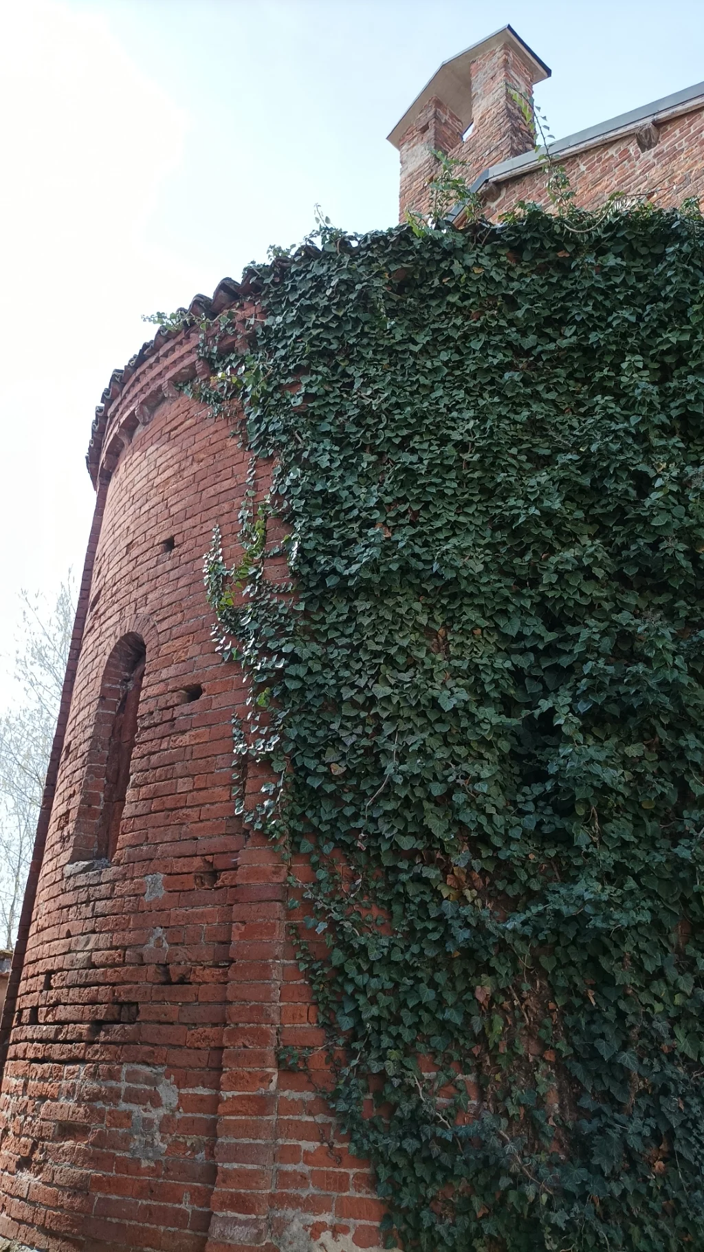 Bassignana - San Giovanni Battista