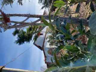 Facciata - Oratorio di San Rocco a Mandello Vitta