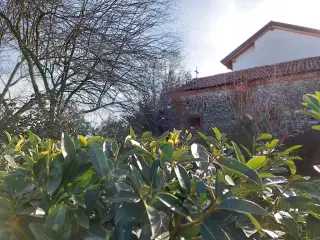 Fianco - Oratorio di San Rocco a Mandello Vitta