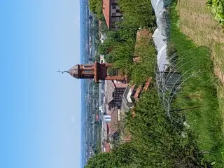 Campanile visto dal castello - Parrocchiale di Santa Maria Degli Angeli a Manta