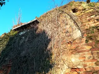 Resti - Ruderi della Antica Parrocchiale a Massazza