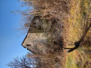 Abside - Chiesa di San Martino a Olmo GentileFrazione Lavagnini
