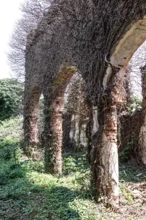 Colonne - Ruderi Chiesa di Sant'Antonio Abate a Casaleggio Novara