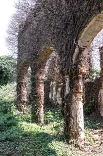 Colonne - Ruderi Chiesa di Sant'Antonio Abate a Casaleggio Novara
