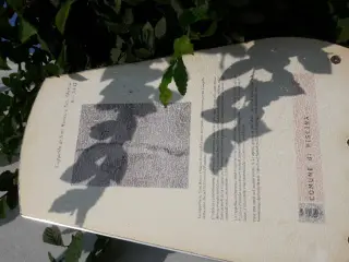 Pannello illustrativo - Chiesa di San Rocco a Piscina