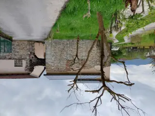 Antico transetto sinistro e arco attuale di ingresso - Ex Convento di Santa Maria della Stella a Rifreddo