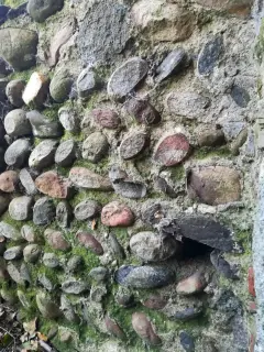 Ruderi - Resti Della Pieve di San Pellegrino di Puliaco a Salussola