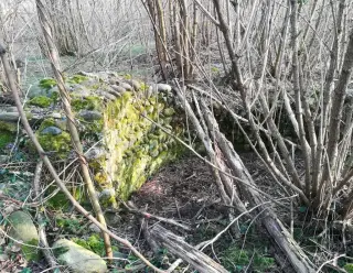 Ruderi - Resti della Pieve di San Pellegrino di Puliaco a Salussola