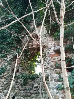 Ruderi - Resti Della Pieve di San Pellegrino di Puliaco a Salussola