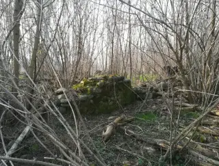Ruderi - Resti della Pieve di San Pellegrino di Puliaco a Salussola