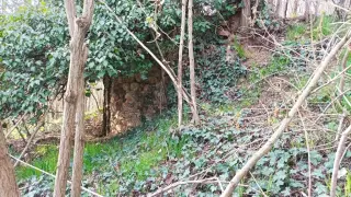 Resti dell'abside - Resti della Chiesa di San Lorenzo a Salussola
