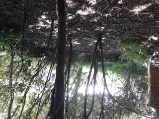Resti dell'abside - Chiesa di San Paolo Apostolo a Virle PiemonteFrazione Cascina San Paolo