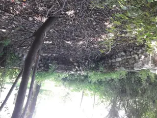 Resti dell'abside - Chiesa di San Paolo Apostolo a Virle PiemonteFrazione Cascina San Paolo