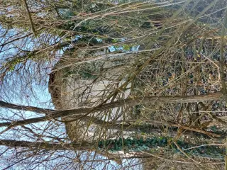 Vista absidale - Cappella di Sant'Andrea a AstiFrazione Valmaggiore