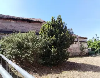 Fianco - Ex Chiesa di San Lupo a Caltignaga