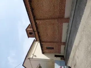 Fianco sinistro - Parrocchiale di San Michele o Santissima Annunziata a Montaldo Roero