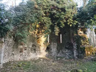 Resti interno abside - Ruderi Della Chiesa di San Sebastiano a Gattinara