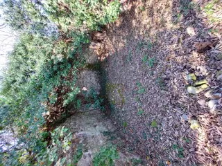 Interno verso facciata - Resti Della Cappella di San Giacomo a Scarmagno