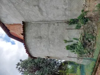 Abside - Chiesa di San Martino di Tours a Castiglione Torinese