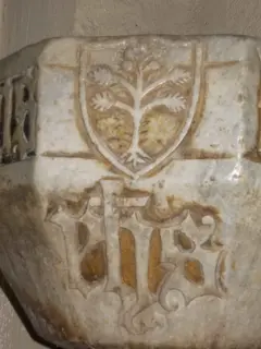 Acquasabtiera arma dei Barberis - Chiesa di Santa Maria Maddalena a Villafranca Piemonte