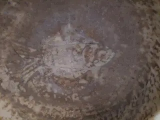 Fonte battesimale pesce scolpito - Parrocchiale di Santa Maria Assunta a Bricherasio