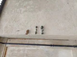 Tracce di muratura antica - Chiesa dei Santi Vittore e Corona a Rivalta di Torino