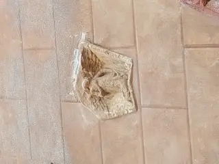 Bassorilievo murato in facciata - Oratorio di San Bartolomeo a Valenza