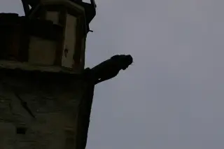 Gargoulille del campanile - Cattedrale di San Giusto a Susa