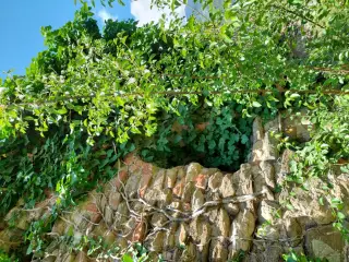 Monofora absidale - Ex Chiesa di San Saturnino a Susa