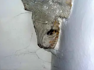 Cantoria (controfacciata), peduccio zoomorfo destro - Cappella di San Cristoforo o dell'Annunziata a SalbertrandFrazione Oulme