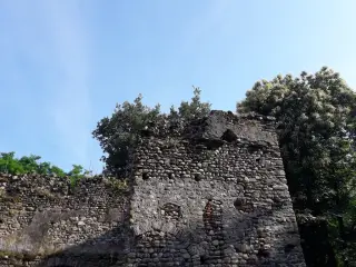 Fianco sinistro - Ruderi Della Chiesa di Santa Maria d'Areglio o Gesiassa a Borgo d'AleFrazione Areglio