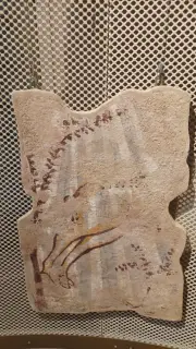 Affreschi staccati (museo di Biella) - Chiesa di Santa Maria di Castelvecchio a Mongrando