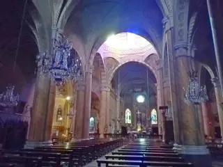 Interno - Collegiata o Parrocchiale dell' Annunziata a Masserano