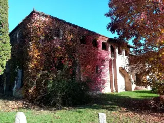 Fianco - Chiesa della Madonna di Cerniori o Santa Maria de Cerniori a RoasioFrazione Curavecchia