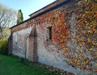Fianco - Chiesa della Madonna di Cerniori o Santa Maria de Cerniori a RoasioFrazione Curavecchia