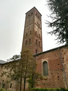 Fianco e campanile - Chiesa di Santa Caterina o San Domenico a Trino