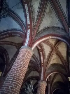 Interno - Chiesa di Santa Caterina o San Domenico a Trino
