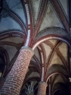 Interno - Chiesa di Santa Caterina o San Domenico a Trino