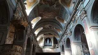 Interno - Parrocchiale di San Dalmazzo a Borgo San Dalmazzo