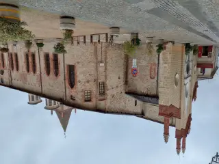 Fianco - Chiesa di San Francesco a Cuneo