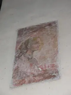 Affresco nel sottarco - Abbazia di San Nazzaro o dei Santi Nazario e Celso a San Nazzaro Sesia