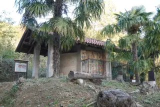 Fianco - Cappella di Sant'Antonio Abate a GrignascoFrazione Ca' Negri